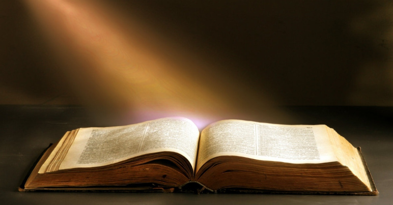 Biblewithlight light bible 1200w tn